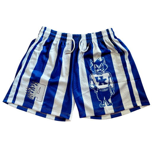 Kentucky Wildcats Classic Mesh Shorts